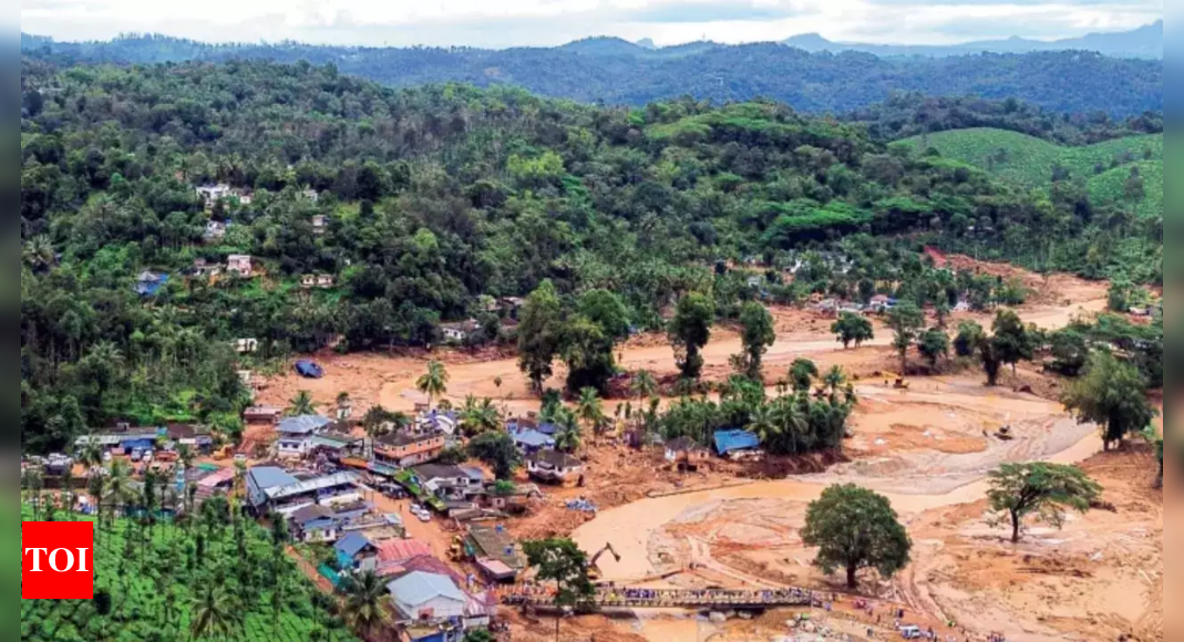 Wayanad landslide aftermath: Protests intensify over rehabilitation delays