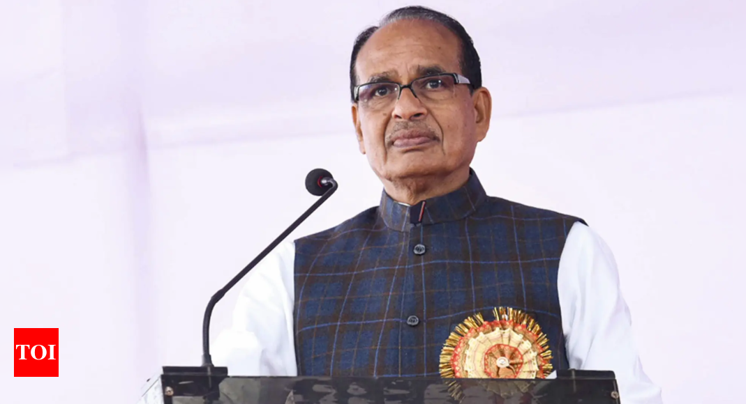 'Lean cushion', not 'broken seat', behind Shivraj row?