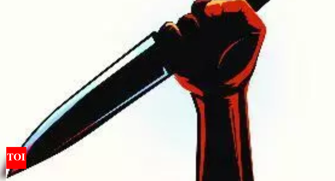 Engineering student from Mizoram stabbed to death by junior in Kerala ...