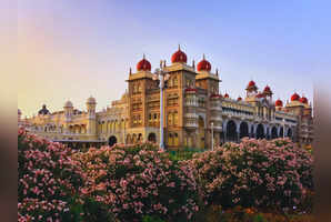 8 most majestic palaces in India that you must visit