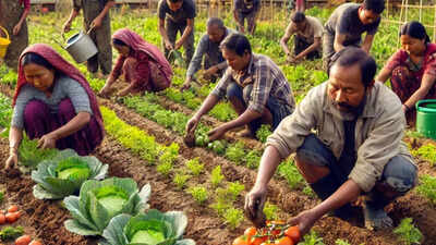 Displaced people in Manipur find hope in vegetable cultivation to combat stress, frustration