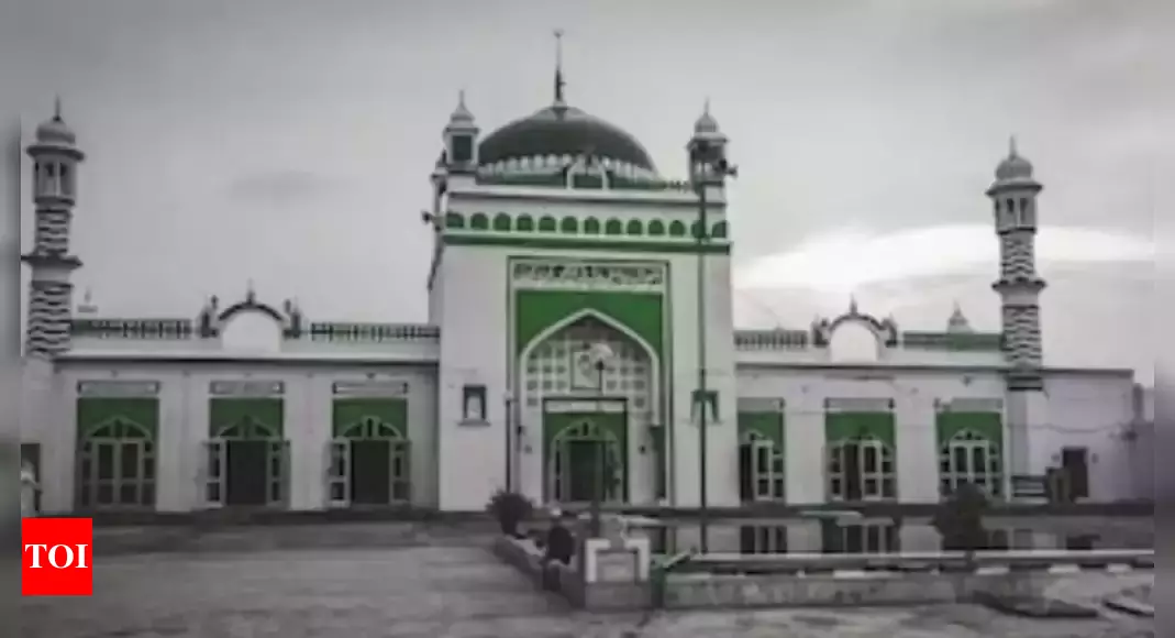 No work should be done on Sambhal mosque without ASI approval, says district magistrate