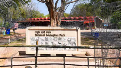 Government plans modernization of the Delhi zoo entrance plaza