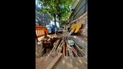 PIL says road concretisation fever ignoring tree cover, BMC says it strikes a balance