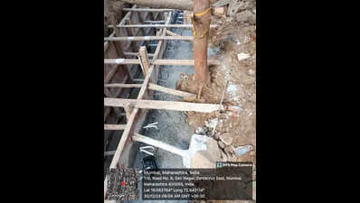 PIL says road concretisation fever ignoring tree cover, BMC says it strikes a balance