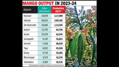 Weather, pests sour mango farmers’ yield expectations
