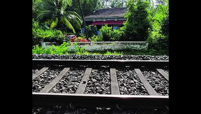 Rail track doubling: Goa wants abeyance order on forest land diversion revoked