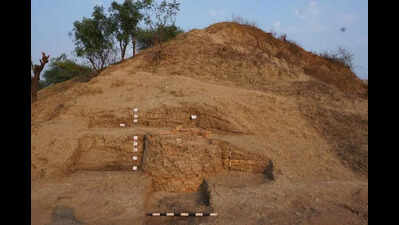 Pachkhed in Vidarbha could be fulcrum of north-south Iron Age corridor