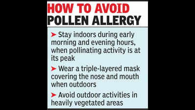 Chilbil pollen detected in Jaipur first time this season