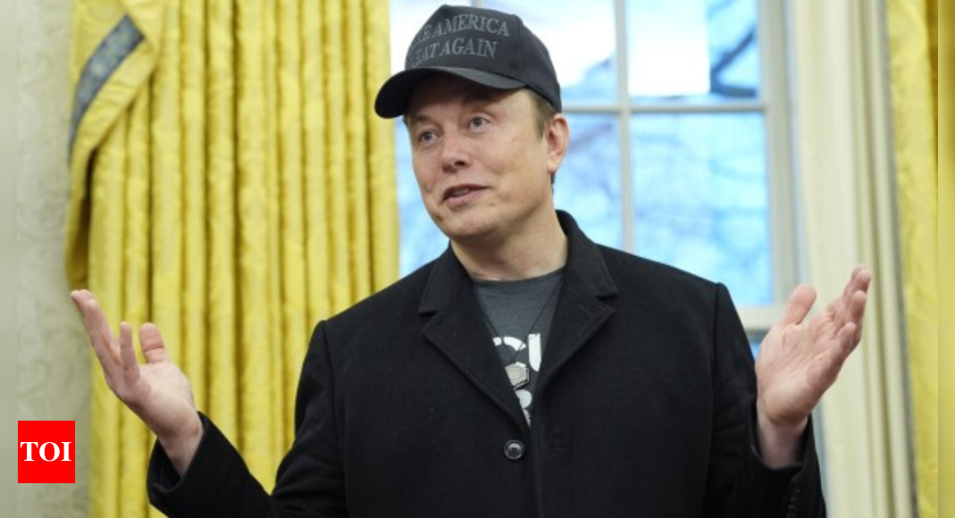 Judge slams brakes on Musk agency’s access to student loan borrowers’ data - The Times of India