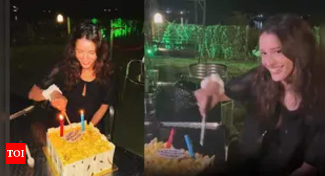 Triptii says 'couldn't have asked for a better birthday' as she shares glimpse from celebrations