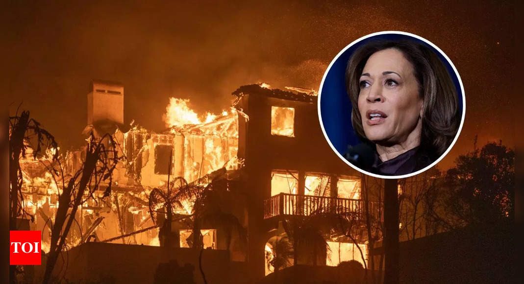 Internet slams Kamala Harris over ‘you can smell the smoke’ LA wildfire remarks: ‘Drunk person trying to sound profound’