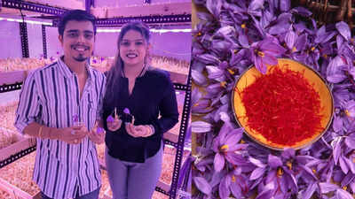 Nagpur couple earns Rs 50 lakh by growing expensive Kashmiri saffron: Here’s how you can grow it at your home