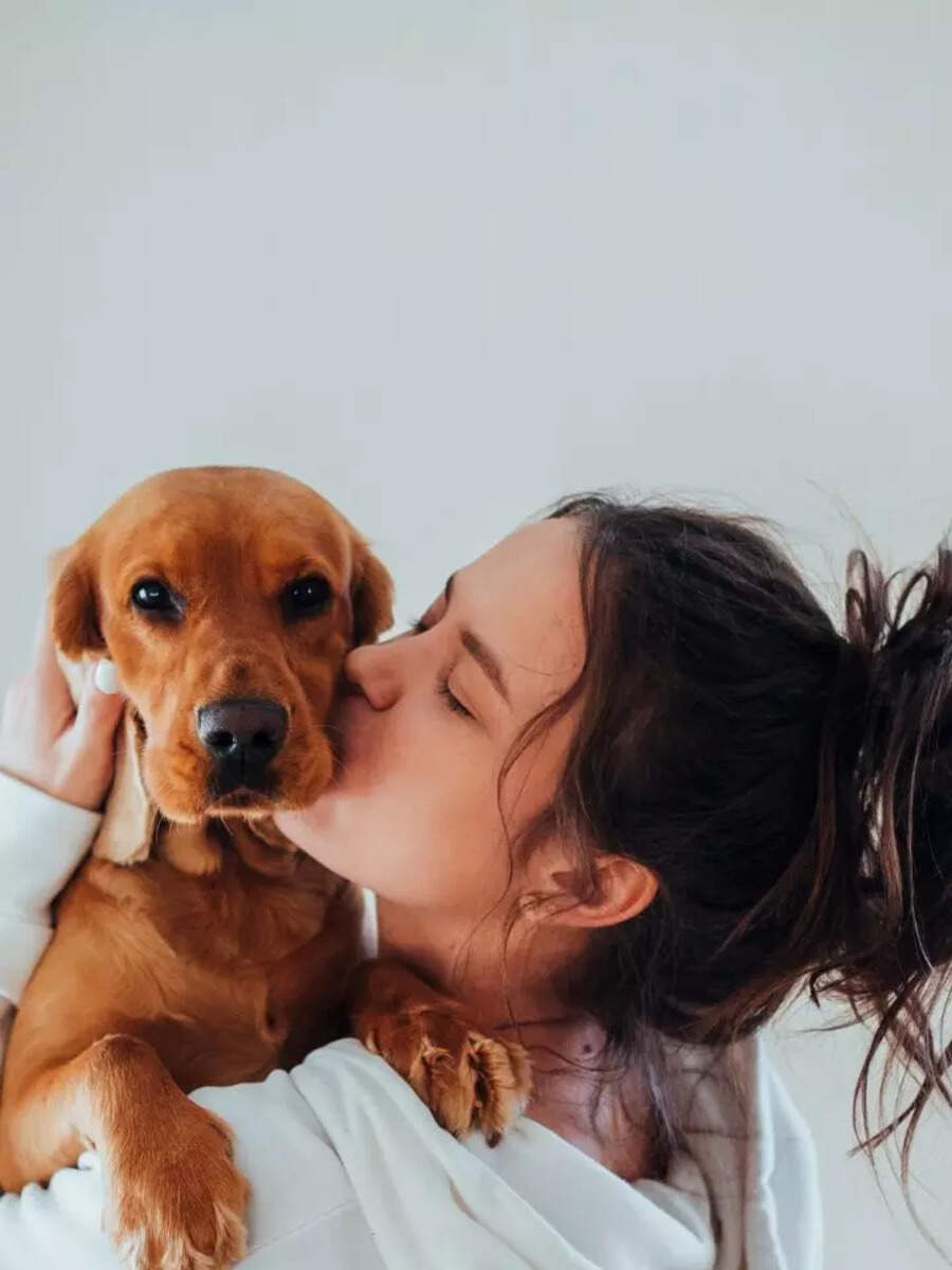 Picture of 10 small pet dog breeds that are best-suited for apartments | Times of ...