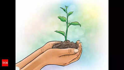 Visakhapatnam Port Authority launches mega plantation drive