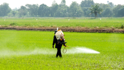 Pesticides and cancer: Is our food making us sick?