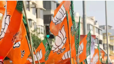 BJP rebels ‘hampering poll campaigns’, party suspends 56 for 6 years in Gurgaon