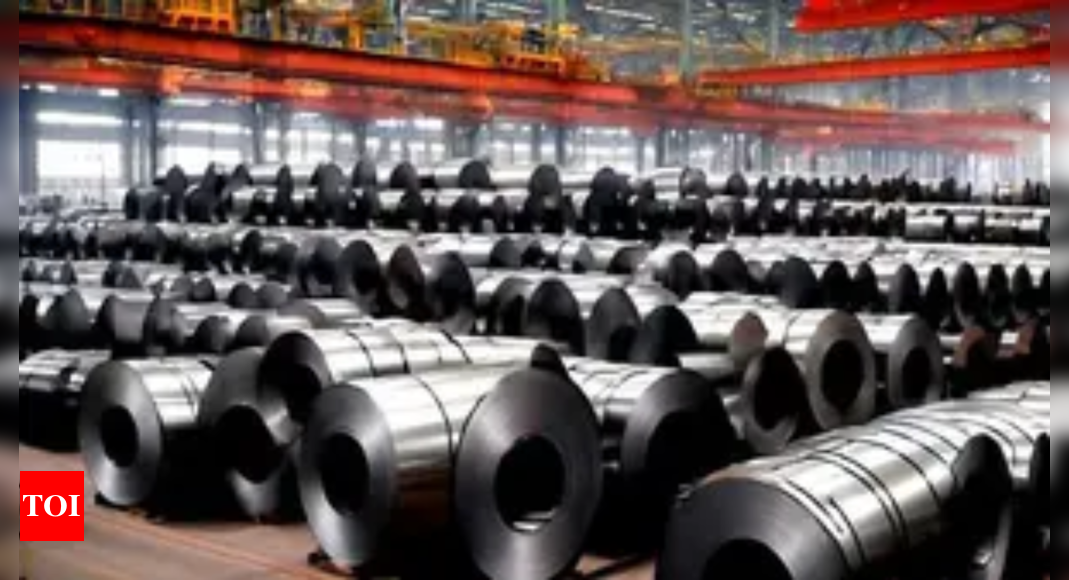 Tata Steel MD bats for safeguard duties on imported steel