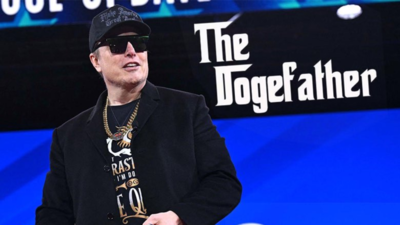 White House clears one of the 'biggest unknown' around DOGE, and it does 'not have' Elon Musk