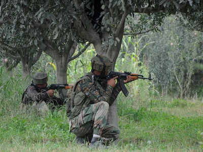 Army shoots down Pakistani intruder at Indo-Pak border