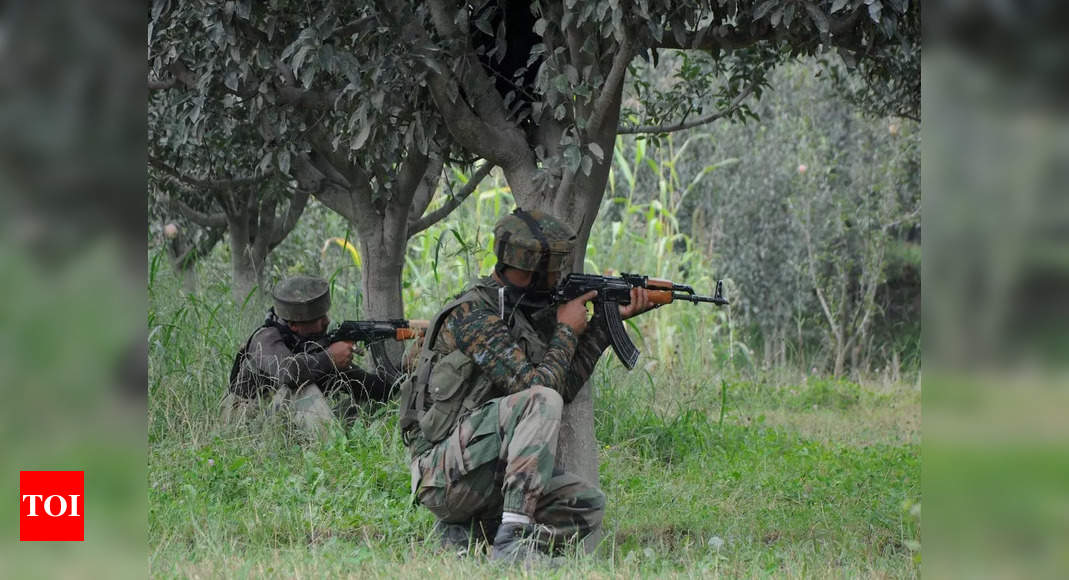 Army shoots down Pakistani intruder at Indo-Pak border