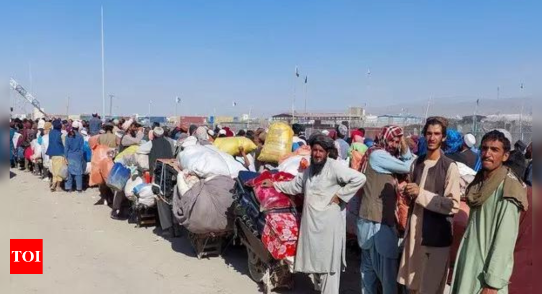 Why is Pakistan expelling Afghan refugees?