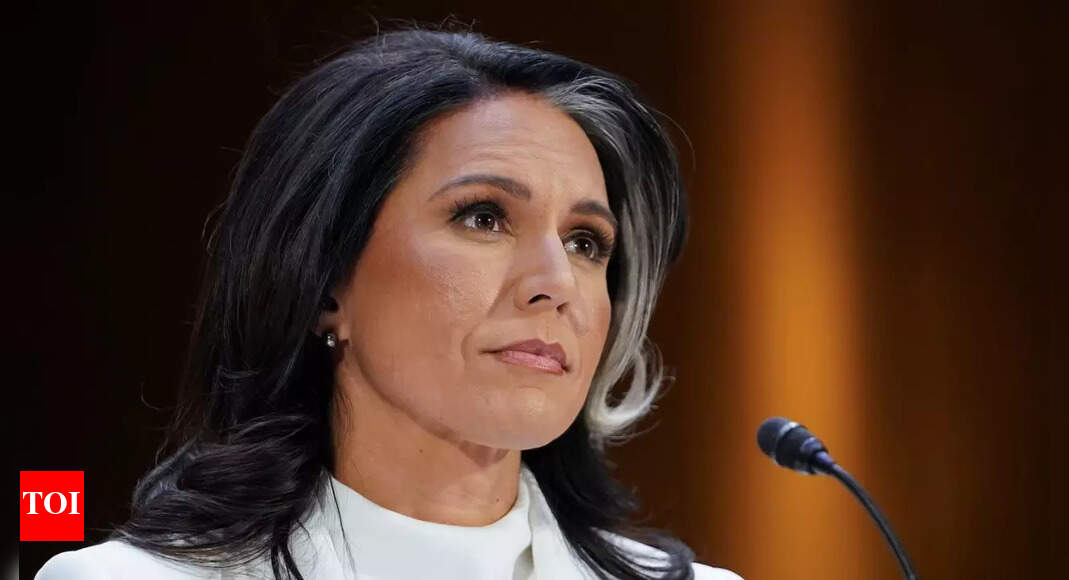Tulsi Gabbard fires over 100 intelligence officers over explicit chat