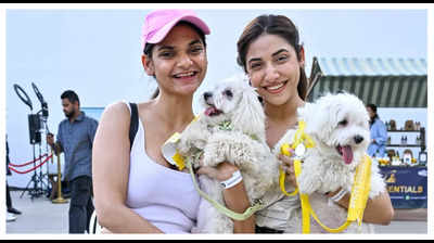 A special doggie Valentine party in Mumbai