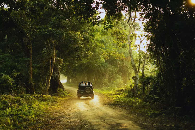 Jeep safari &ndash; Up-close with Assam&rsquo;s Big Five