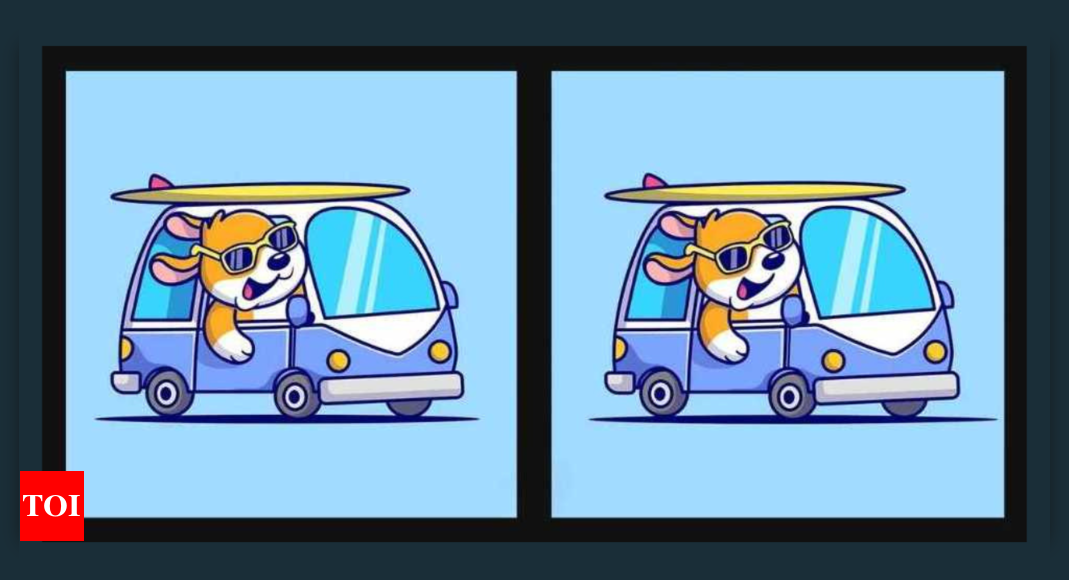 Find the Difference: Can you spot 3 differences in this puppy driving the van photo?