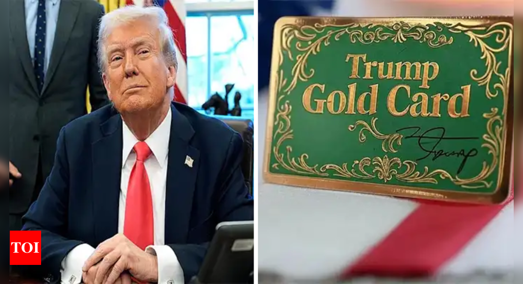 Gold Card vs Green Card in the USA: What difference does it make?