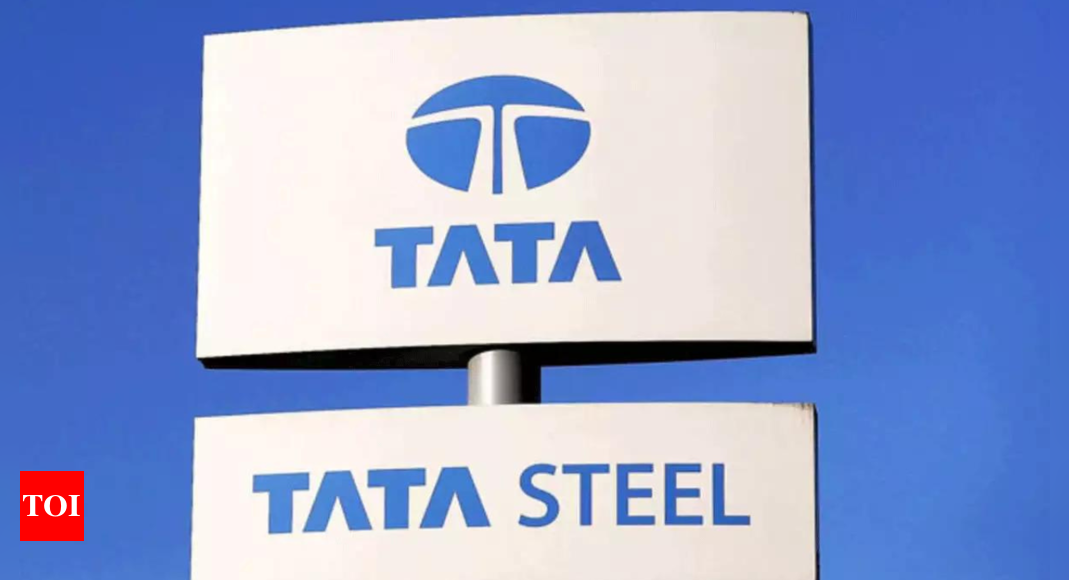 Tata Steel MD Narendran bats for safeguard duties on imported steel