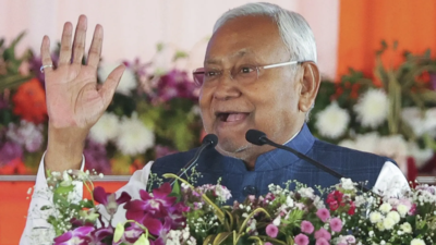 Ahead of polls, Nitish Kumar inducts 7 new ministers, all from BJP