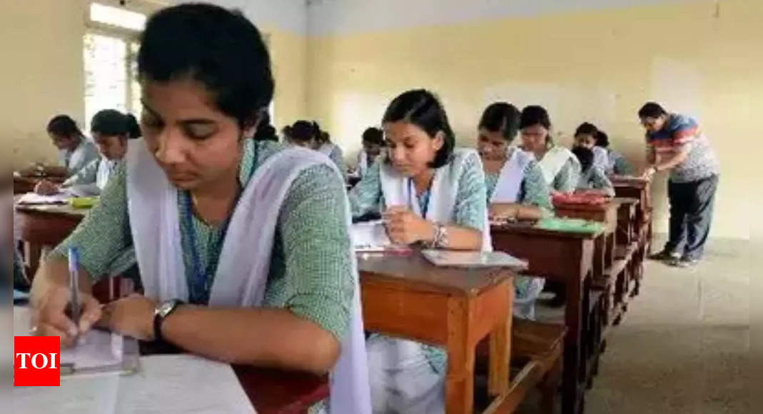 Rajasthan REET 2024 exam today: Check reporting time, items to carry and avoid - The Times of India