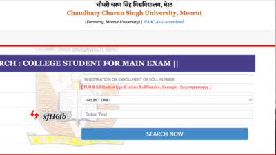 CCSU BEd 2025 exam form submission begins: Check direct link, important dates and other details – The Times of India