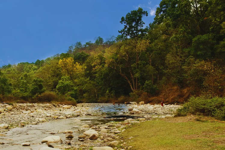 Durga Devi Zone