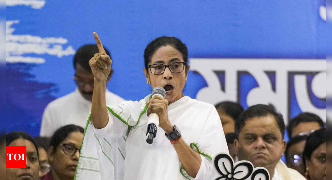 'Maha, Delhi won't happen in Bengal': Mamata claims voter fraud; BJP counters