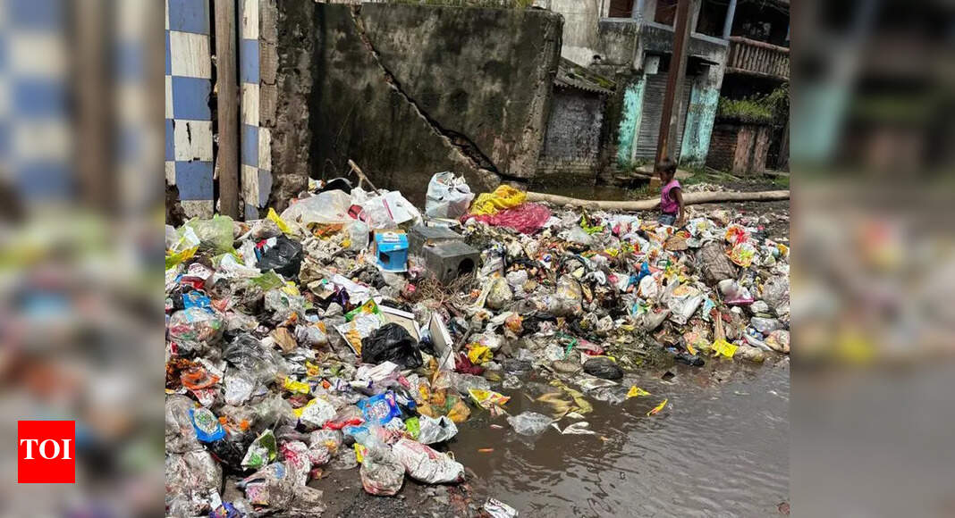 Clean Hwh garbage in a month: NGT to HMC | Kolkata News - The Times of ...
