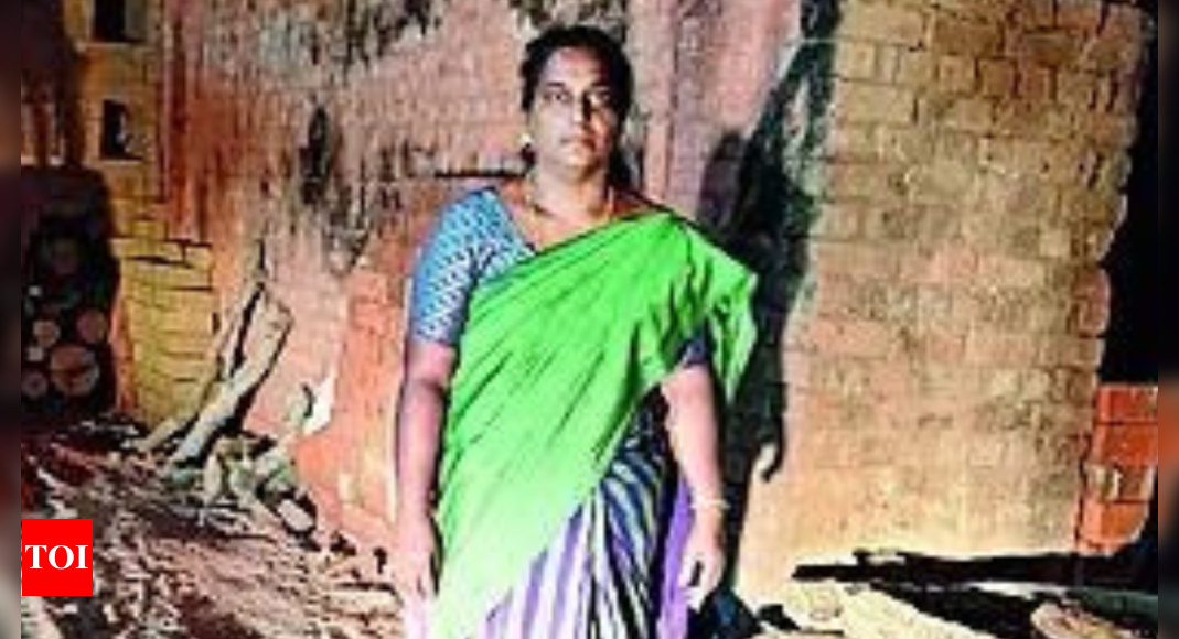 Another brick in union wall: 'Harassed' Kerala owner to shut kiln