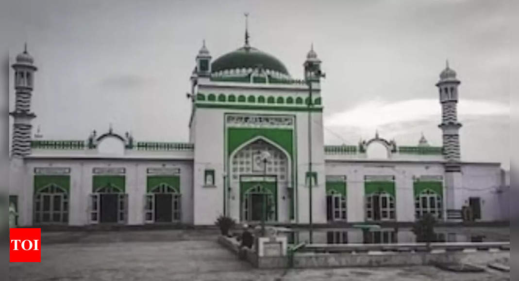 Allahabad HC directs cleaning of Sambhal mosque premises as ASI rules out whitewashing