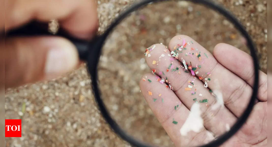 Microplastics in oceans may be linked to higher risk of disabilities, study finds