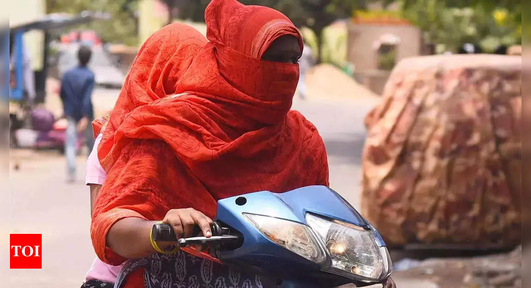 Andhra Pradesh faces record heat and extreme weather: 50 lives lost in 2024