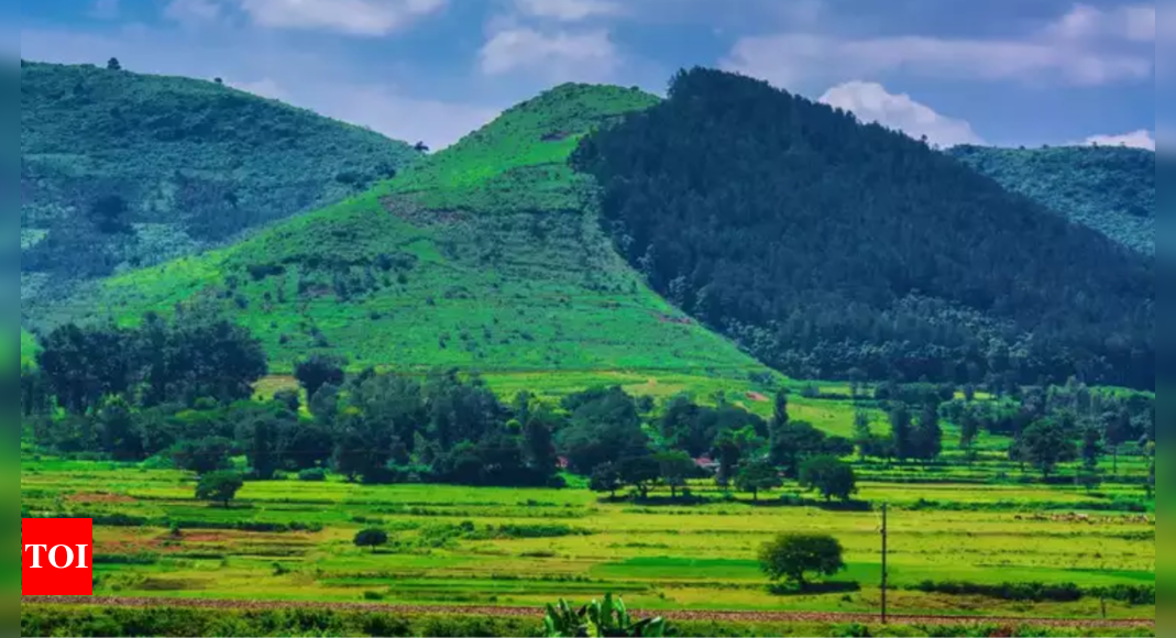 Our hills are getting hot: Researchers warn of heatwaves in Tamil Nadu hill stations