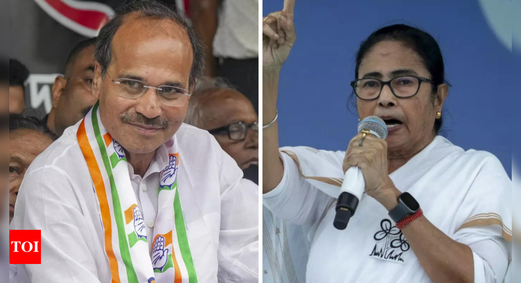 'Expert in making fakes voters': Congress' Adhir Ranjan Chowdhury turns the table on Mamata over 'election manipulation' claim