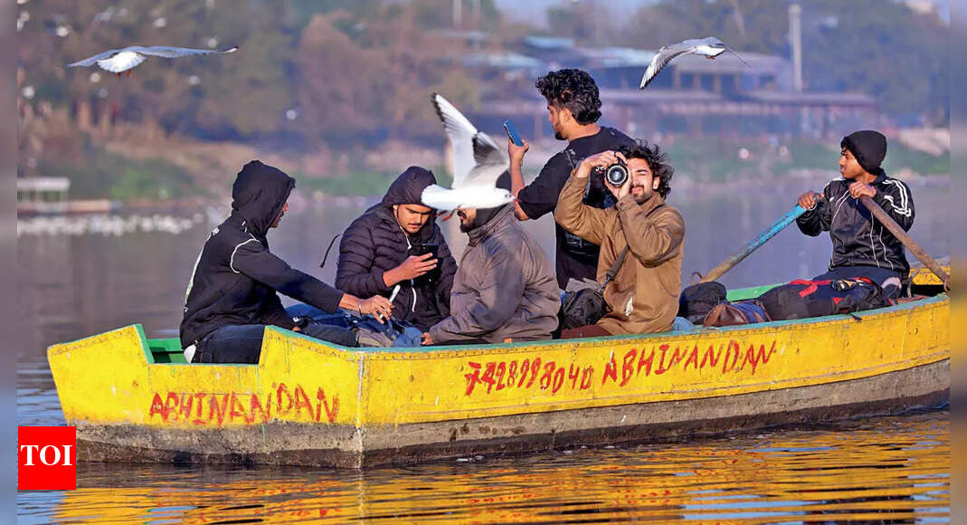 Seagulls and sunset steal the show as Yamuna Ghats offer last glimpse of migratory birds