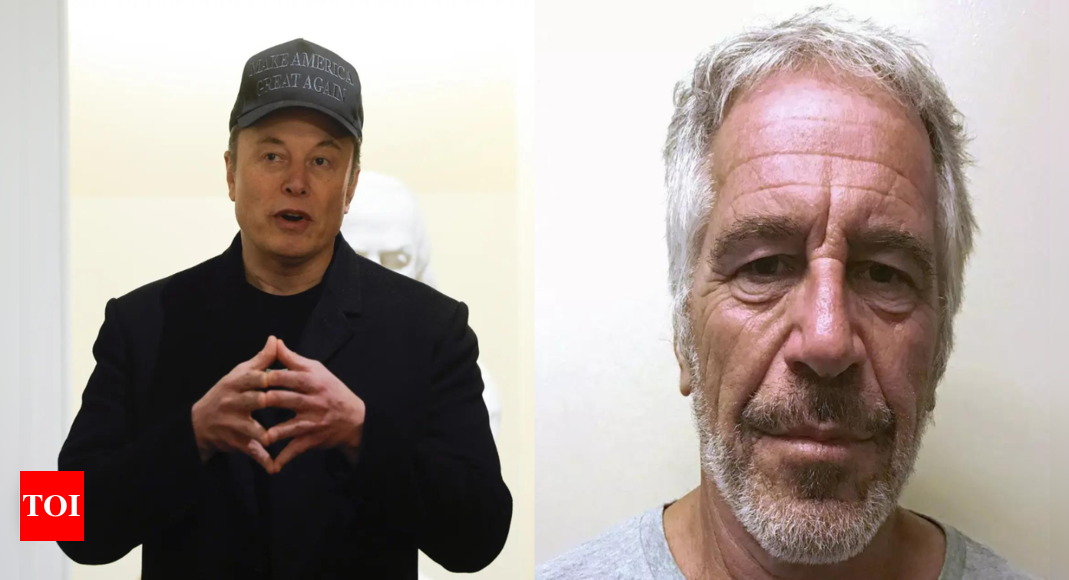 Elon Musk on Jeffrey Epstein death: '...suicide would have been stopped if..'