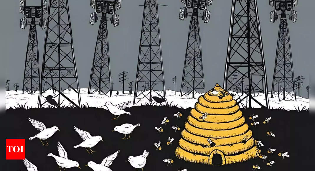 Is 5G technology killing our bees and birds?