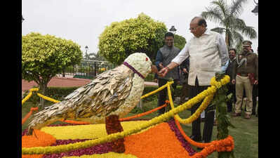 36 varieties of flowers a feast for eyes at CP park | Delhi News ...