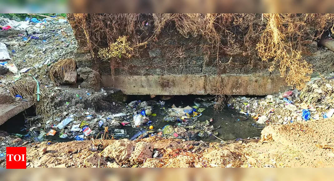 Choked nullahs pollute Sal, WRD sets Dec clean-up deadline