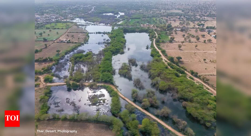 Jojari river laden with factory waste overflows, sparks exodus | Jaipur ...